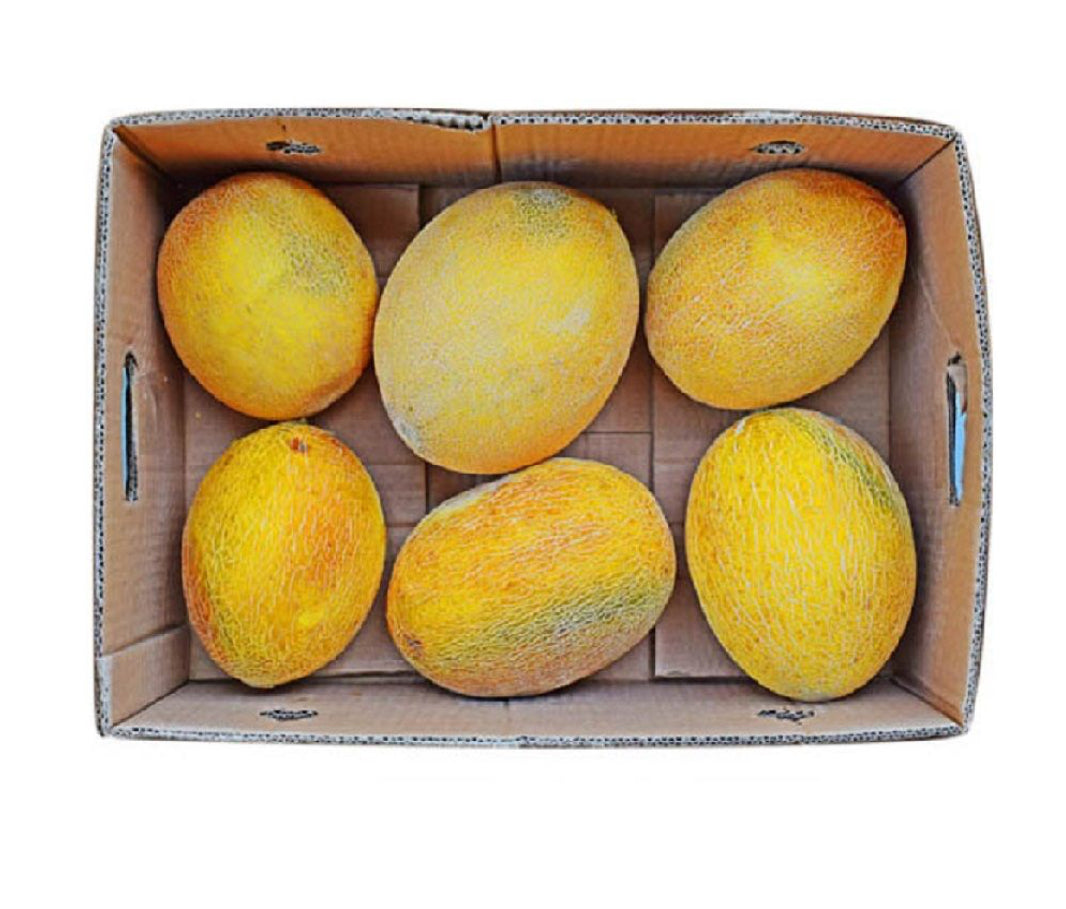 Sweet melon 10 kg Oman 🇴🇲